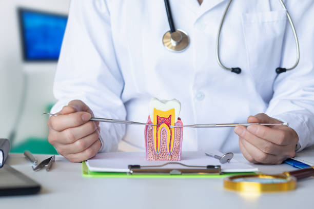 Best Emergency Treatment for Dental Infections or Abscesses in Onalaska, WI